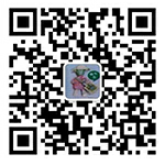 手機(jī)網(wǎng)站